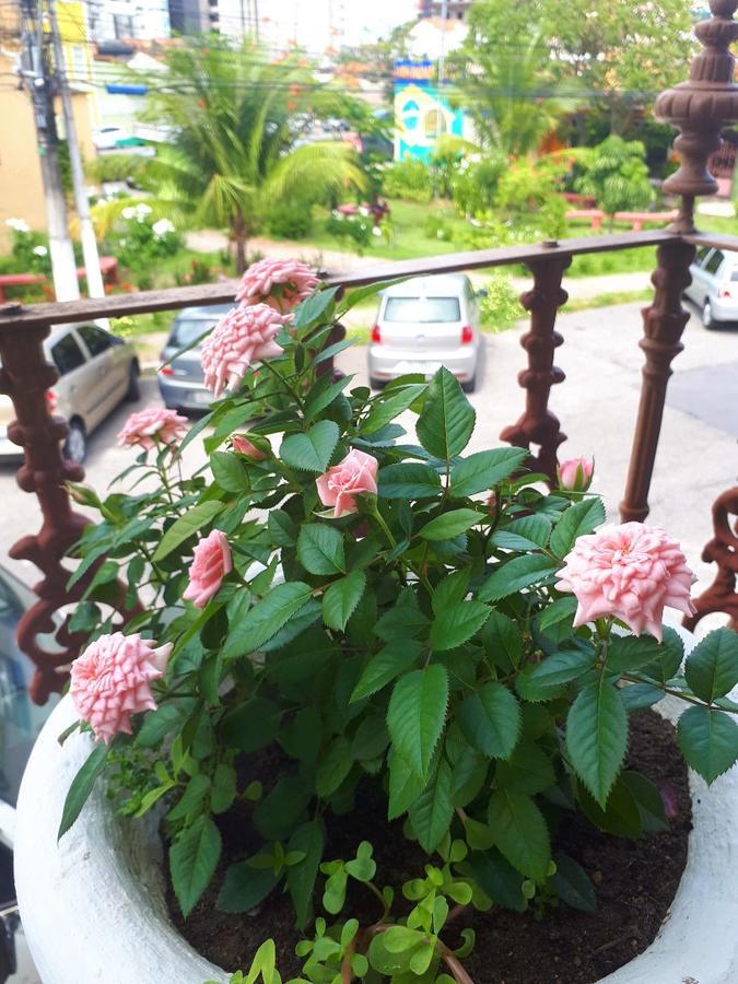 Casa Da Josi - Pajucara Apartment มาเซโอ ภายนอก รูปภาพ